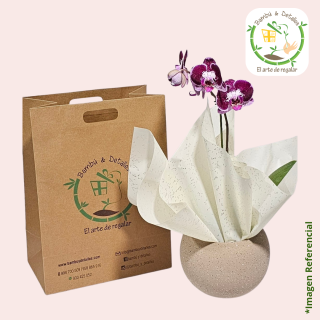 Orquídea