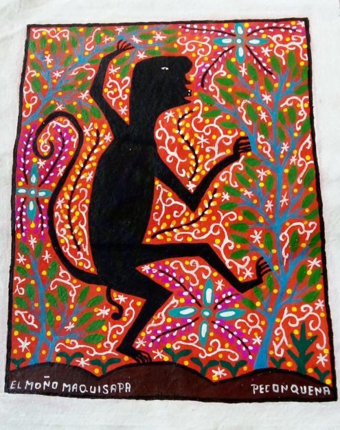 Dueño del mono maquisapa