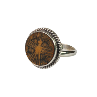 Anillo colibrí