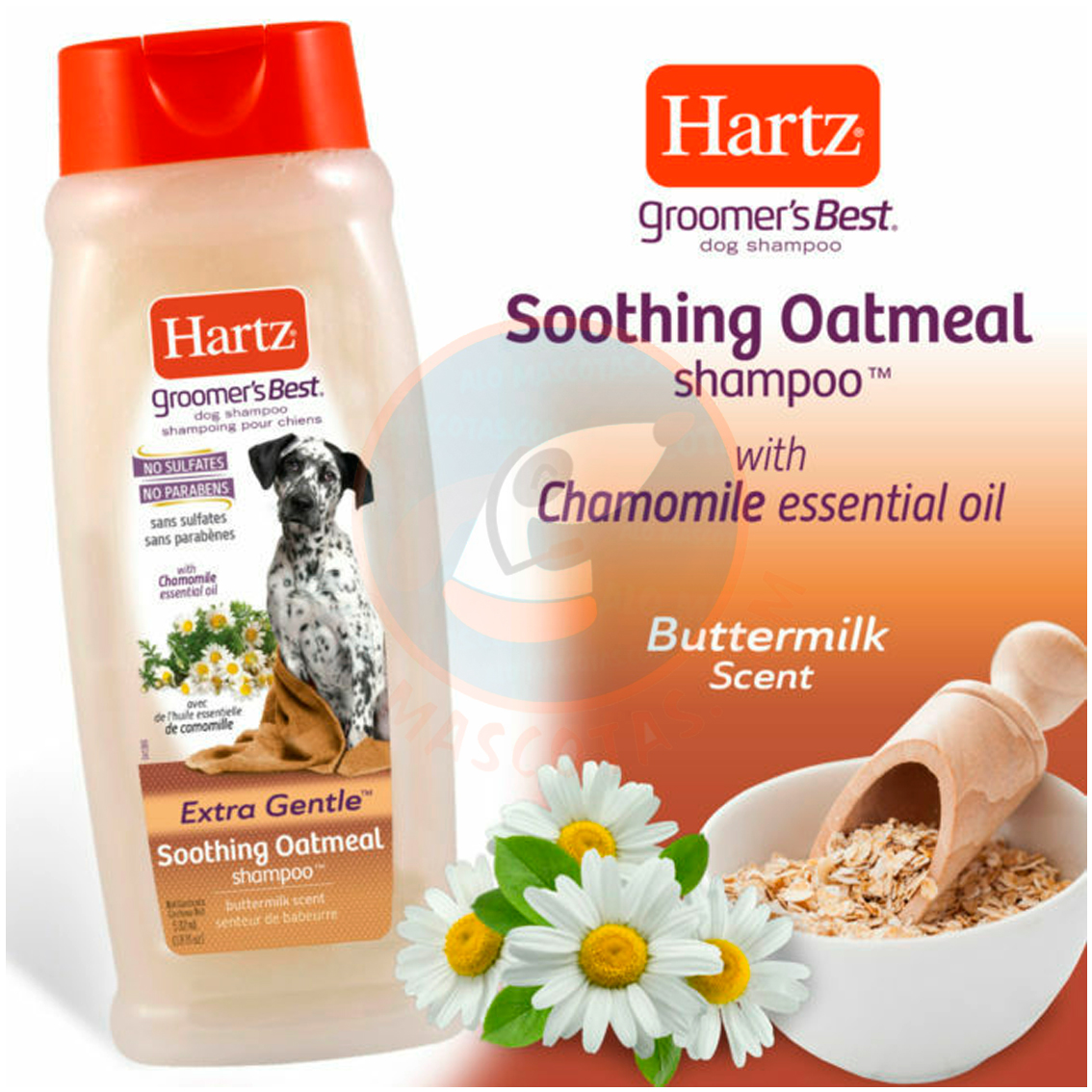 Lo mejor en alimentos, accesorios, articulos