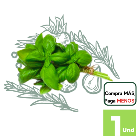 Albahaca a Granel x Atado