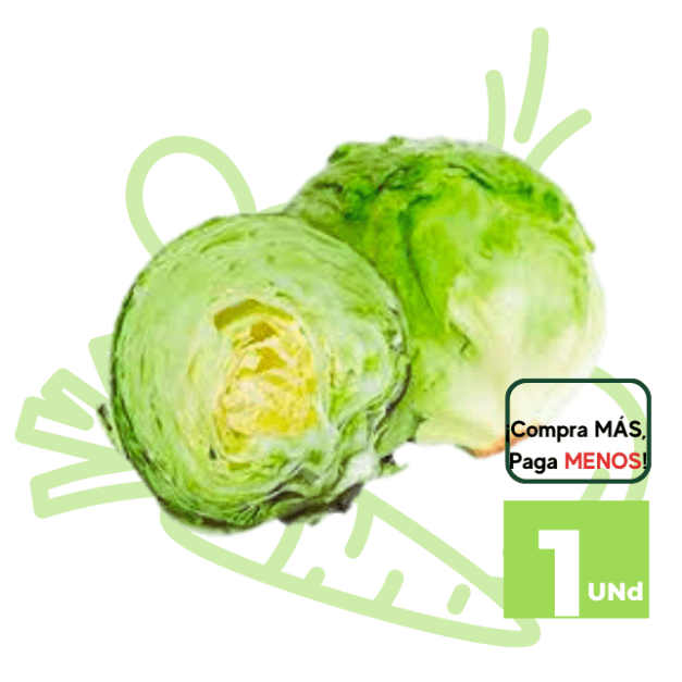 Lechuga Americana x 1 Und