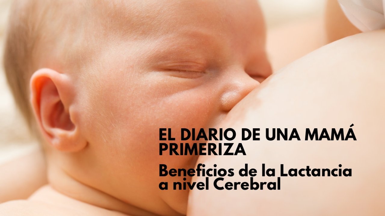 Beneficios en el Desarrollo del Cerebro de un Bebé con la Lactancia Exclusiva