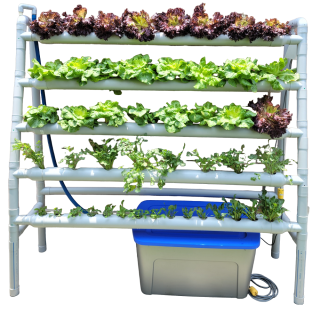 Hidrohuerto Pared 3 hasta 75 vegetales pequeño + kit de insumos + Pack 3 cursos