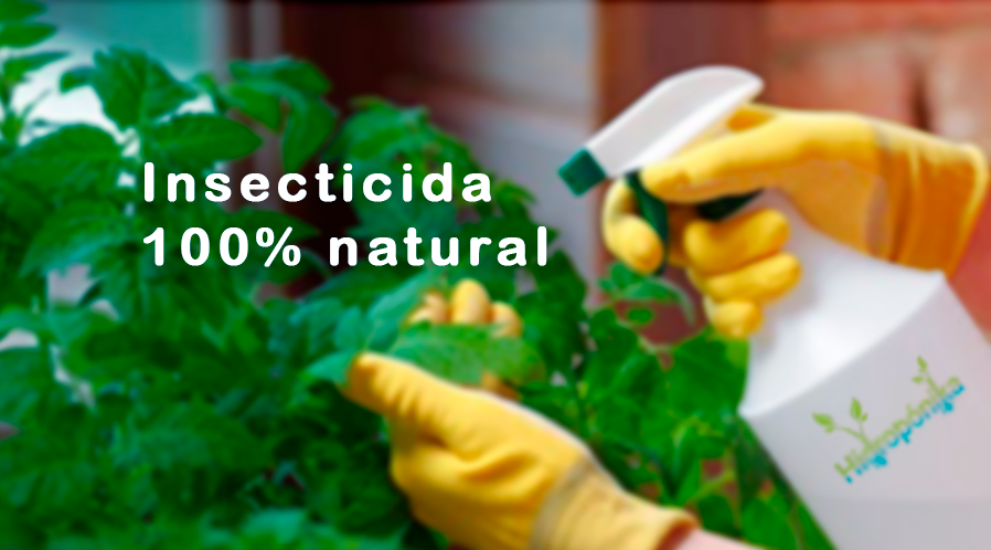 Una opción natural y ecológica para el control de plagas en nuestros hidrohuertos