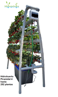 Hidrohuerto Piramidal 4 hasta 180 vegetales pequeños a grandes o fresas + kit de insumos + Pack 3 cursos
