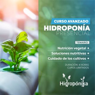 Curso Presencial aprendiendo a cultivar 4 hrs  - Viernes 13 de marzo 2026