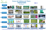 Curso Virtual de Hidroponía Intensivo. Paquete de 3 días: 20/04, 21/04 y 22/04 Total 6 horas.