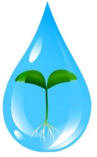 Análisis de agua para riego y formula para Solución Nutritiva
