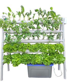 Hidrohuerto Pared 4 hasta 75 vegetales pequeños a grandes o fresas + kit de insumos + Pack 3 cursos