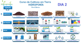 Curso Virtual de Hidroponía Intensivo. Paquete de 3 días: 20/04, 21/04 y 22/04 Total 6 horas.