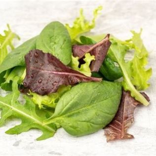 Kit Verde - Variedad de Semillas de Vegetales para ensaladas