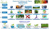 Curso Virtual de Hidroponía Intensivo. Paquete de 3 días: 20/04, 21/04 y 22/04 Total 6 horas.