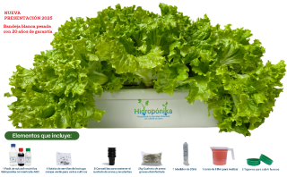Hidrohuerto 8 Starter Kit Cultiva 8 vegetales por siembra incluye semillas de lechuga + video instructivo