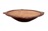 Plato bicolor