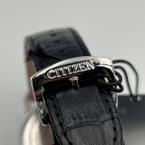 Citizen Eco-drive AO9000-06B 42mm