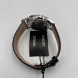 Citizen Eco-drive AO9000-06B 42mm