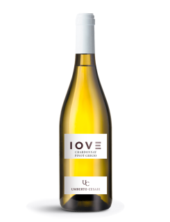 Iove Blanco - Chardonnay Pinot Grigio Emilia IGT