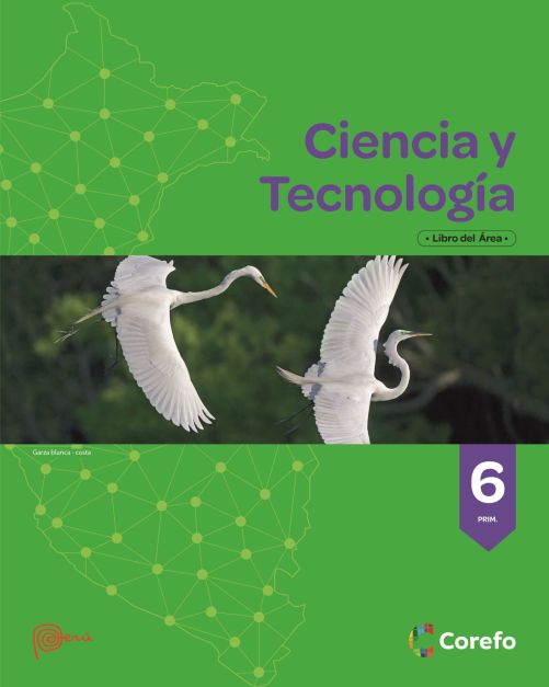 CIENCIA Y TECNOLOGÍA 6TO PRIMARIA (PACK DE 2)