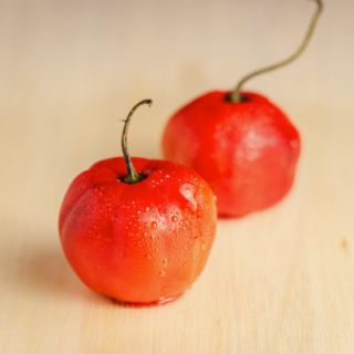 Rocoto x 2 un