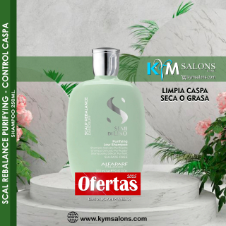 Shampoo Purifying 250ml. (Anticaspa) Alfaparf Semi Di Lino Codalfscalp