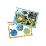BUKI MINI CIENCIAS MICROSCOPIO