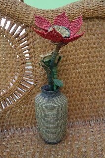 FLOR DE JUNCO