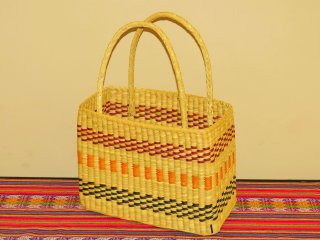 Canasta tricolor