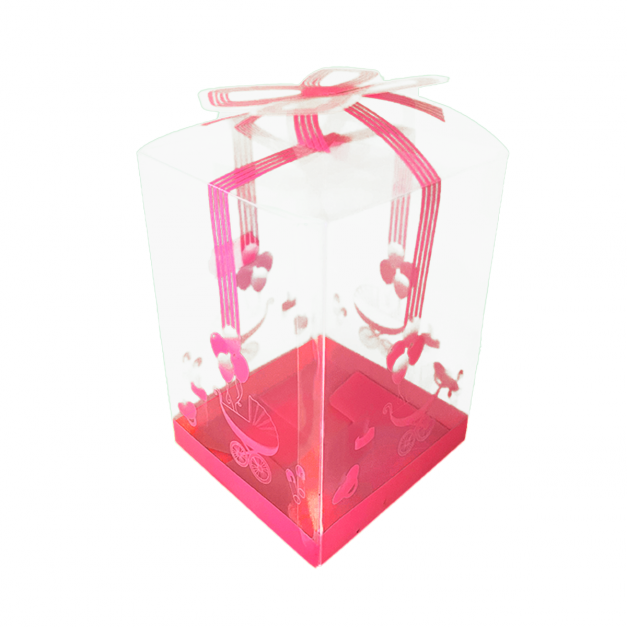 Caja PVC 2219 Coche Baby Girl x und
