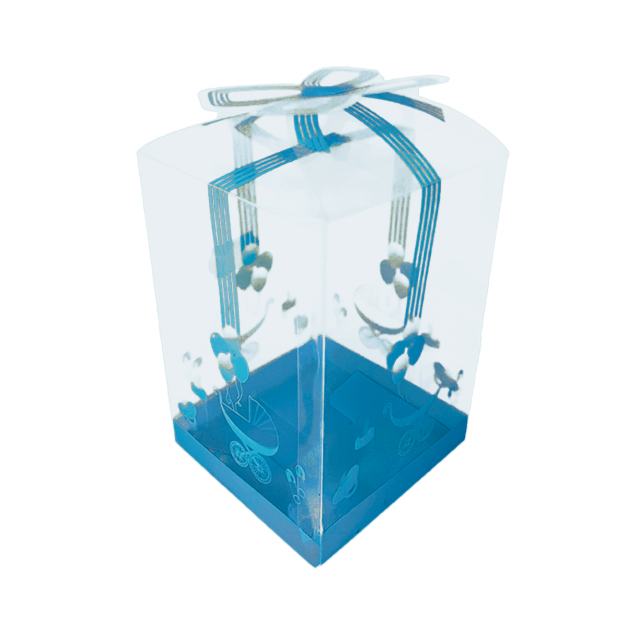 Caja PVC 2220 Coche Baby Boy x und