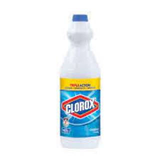 CLOROX REGULAR 1 LT BOTELLA