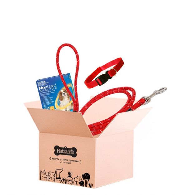 Productos Matchcota