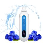 VAPEADOR FLONG MAX 10000PUFF BLUE RAZZ