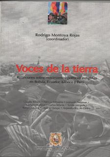 Voces de la tierra. Reflexiones sobre movimientos políticos indígenas en Bolivia, Ecuador, México y Perú