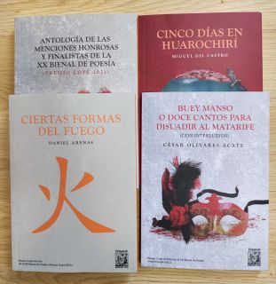 Ciertas formas del fuego