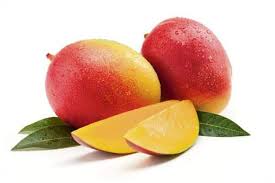 MANGO EDWARD