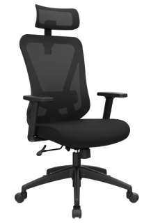 SILLON FERRARA PRESIDENTE