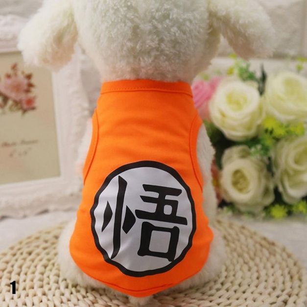 Polo Gokú