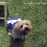 Vestido Bolitas Azul