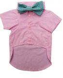 Camisa Pastel