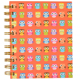 Libreta A6 - Buhos