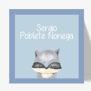Tarjetas niños - Mapache