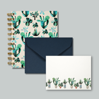 Mini set Cactus