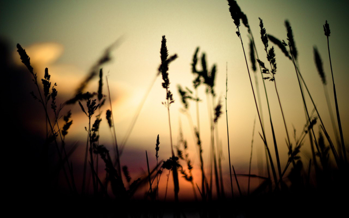 Moda Hombre