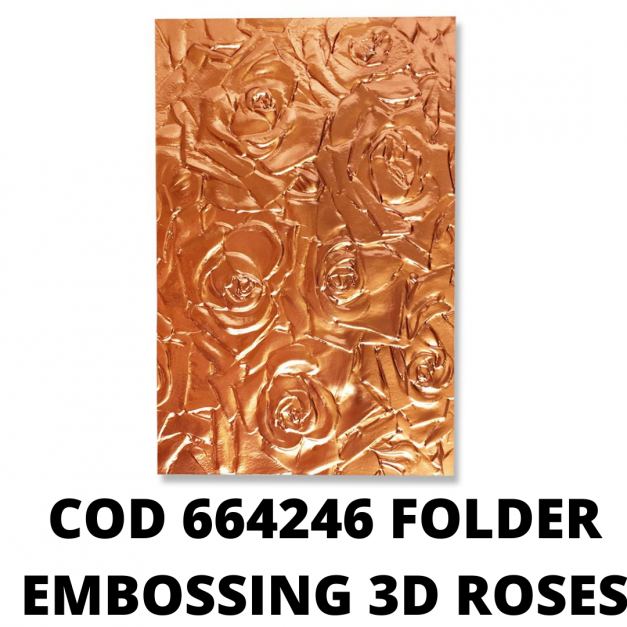 FOLDER DE EMBOSSING 3D SIZZIX