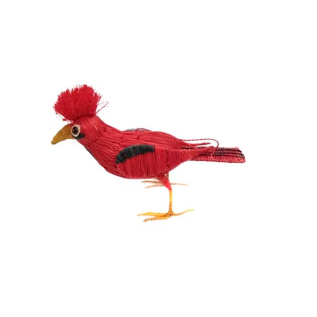 Ave roja con cresta roja