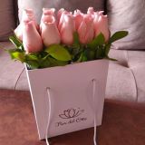 BIG BOX DE ROSAS