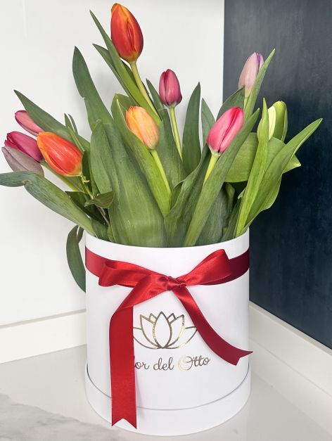 TULIPANES