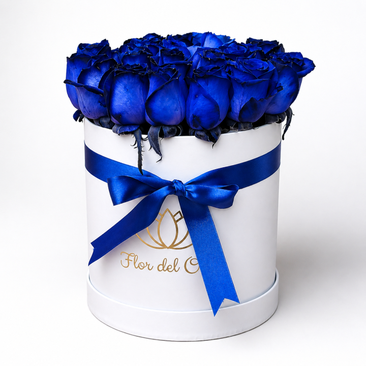 COLECCION AZUL PREMIUM