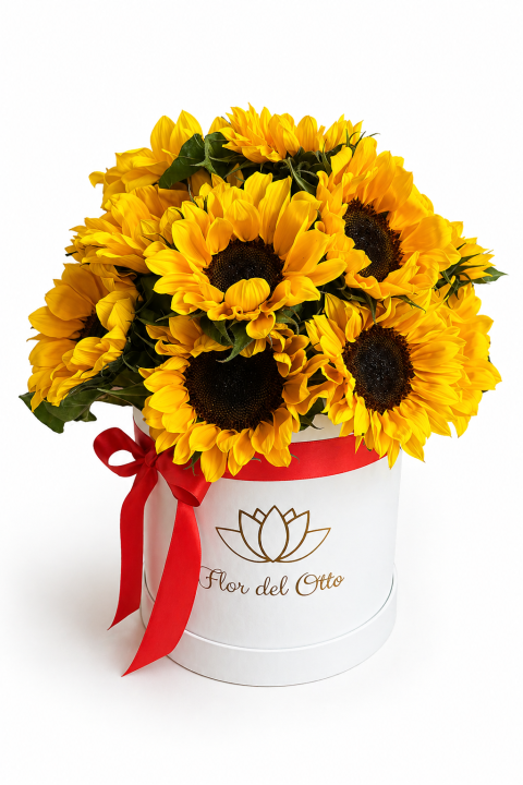 GIRASOLES